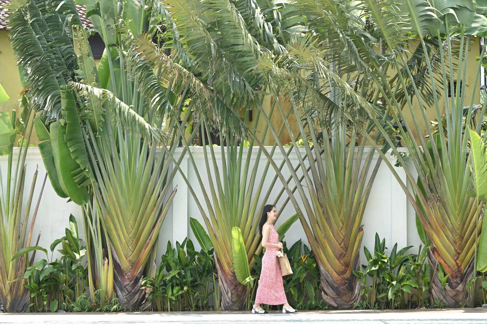 Shining Riverside Hoi An Boutique & Spa المظهر الخارجي الصورة